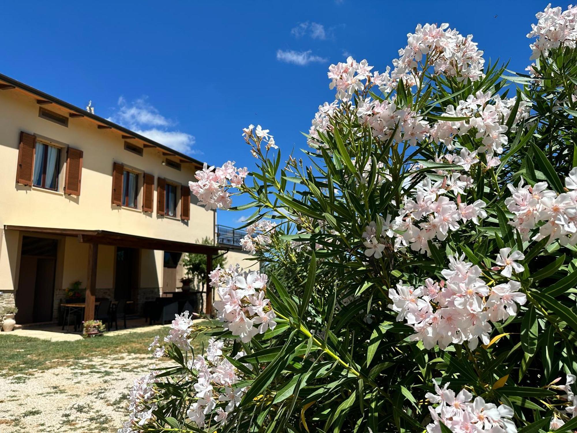 Appartamento Locazione Turistica L'Antica Sorgente Panicale Exterior foto